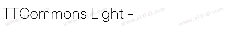 TTCommons Light 亮体字体转换